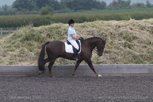 ISIS Dressage Challenge 2008